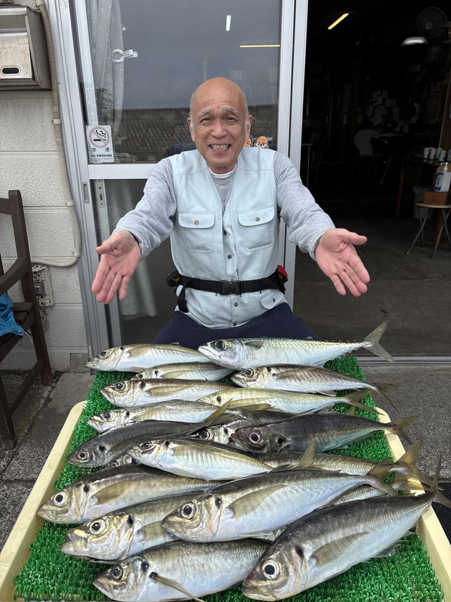 アジ(マアジ)