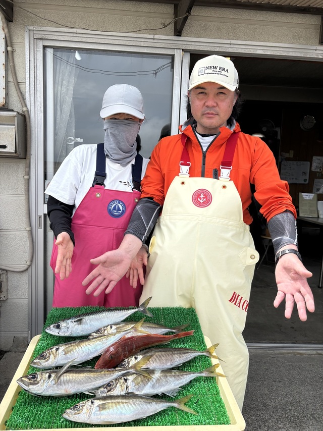 アジ(マアジ)