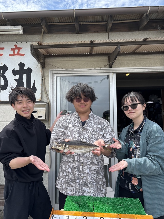 アジ(マアジ)