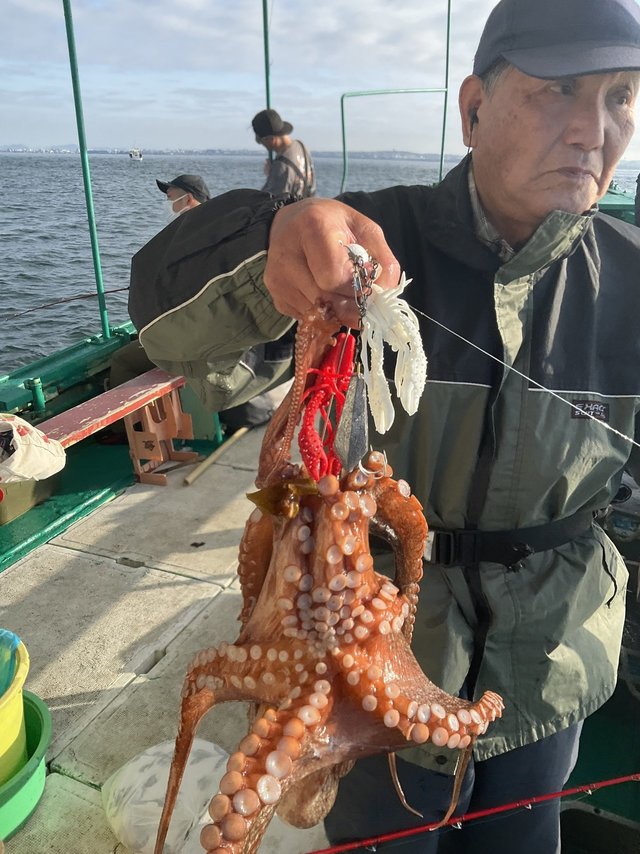 タコ(マダコ)