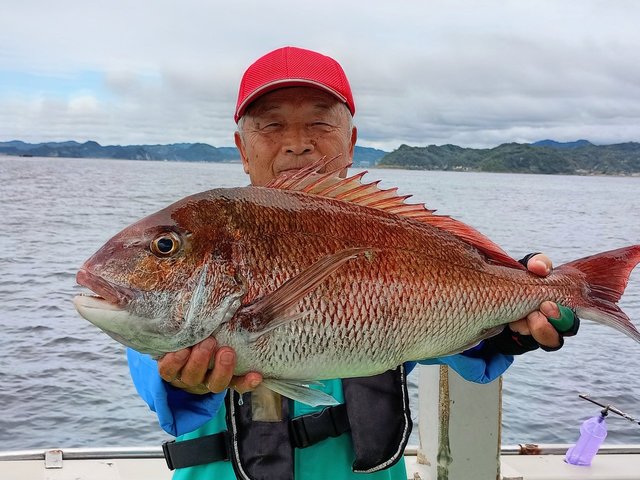 マダイ
