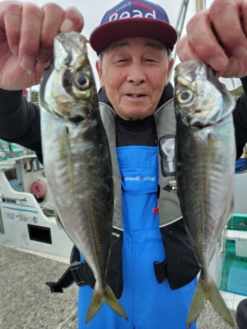 アジ(マアジ)