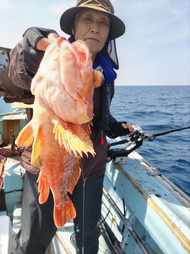ウッカリカサゴ