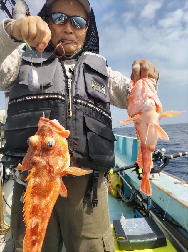 オニカサゴ