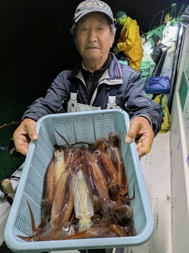 スルメイカ・ムギイカ(スルメイカ)
