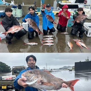 マダイ