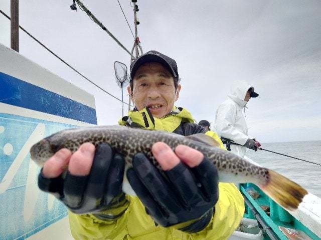 ショウサイフグ