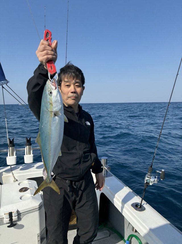 ハマチ(ブリ)