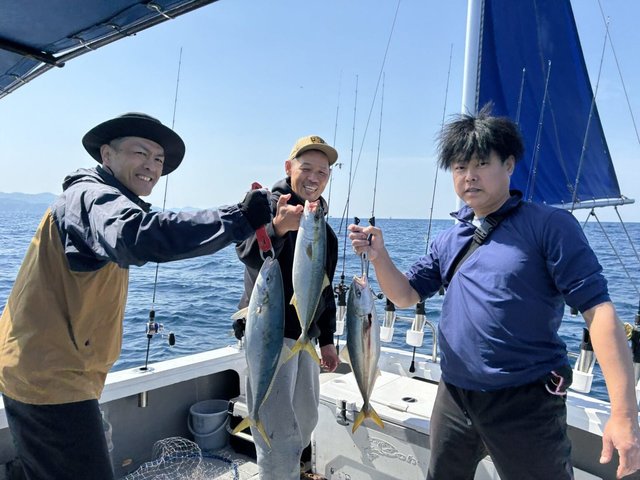 ハマチ(ブリ)