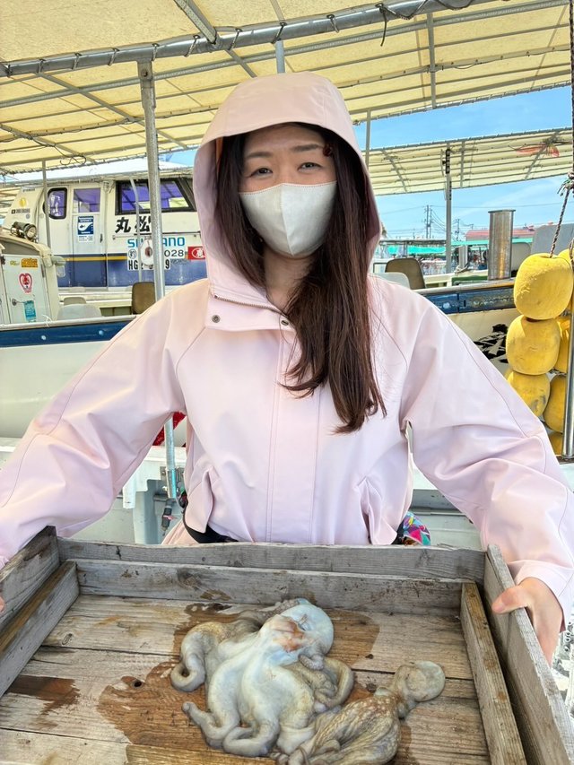 マダコ