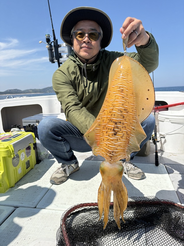 アオリイカ