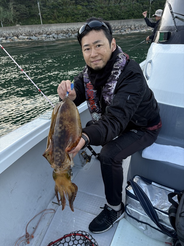 アオリイカ