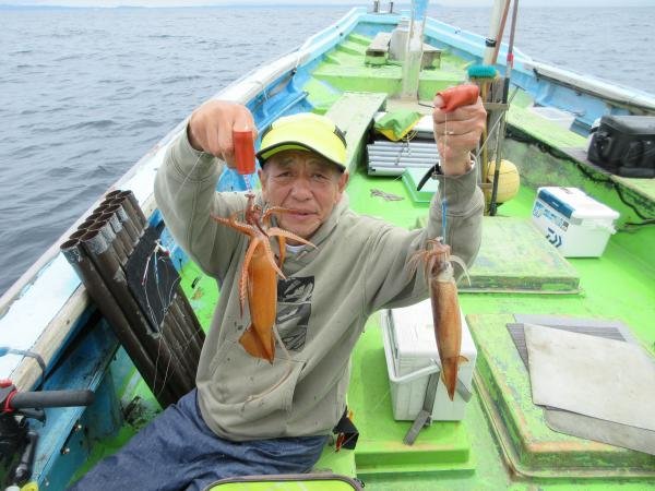スルメイカ・ムギイカ(スルメイカ)