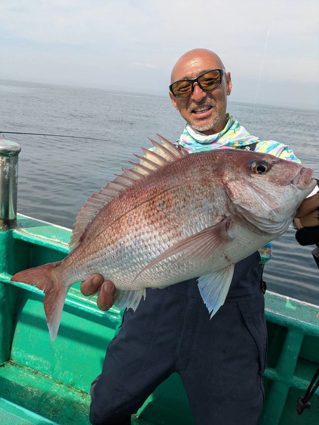 マダイ