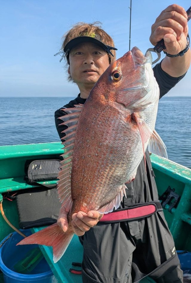 マダイ
