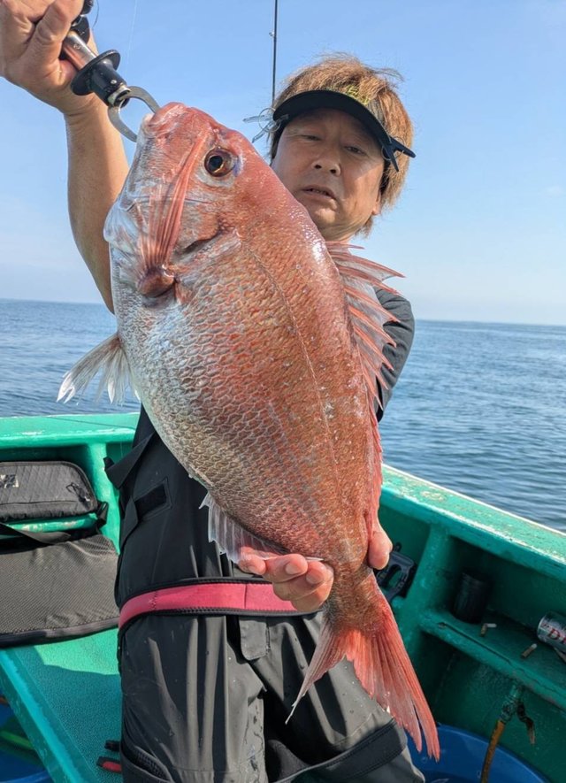 マダイ