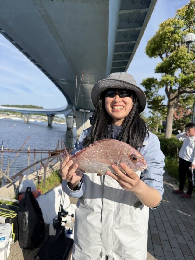 マダイ