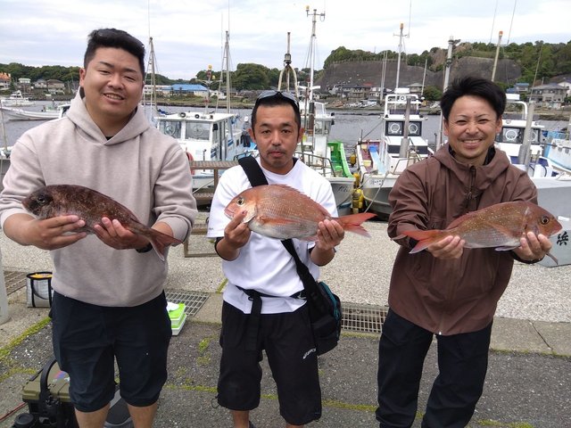 マダイ