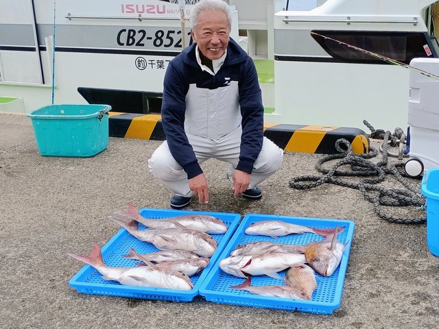 マダイ