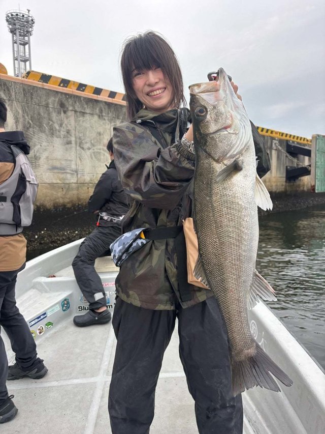 シーバス(スズキ)