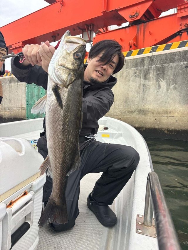 シーバス(スズキ)