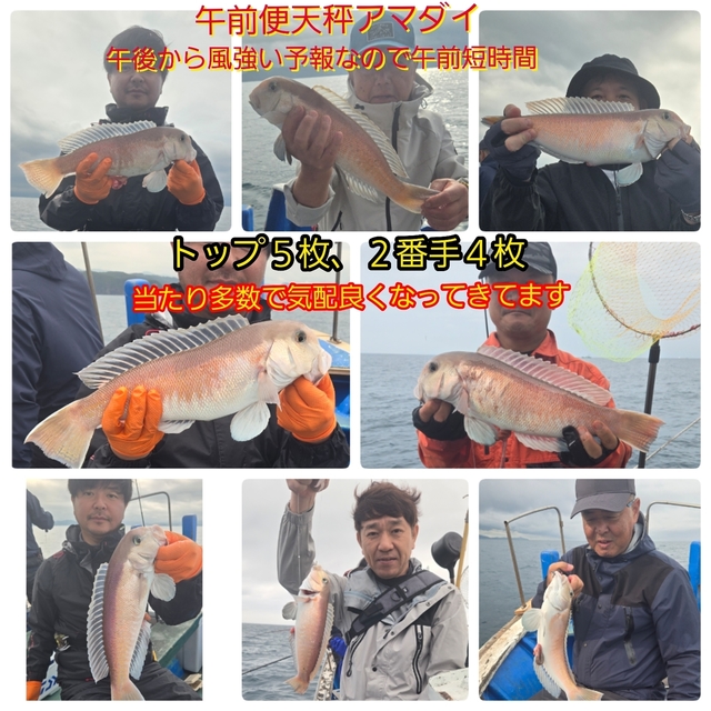 シロアマダイ