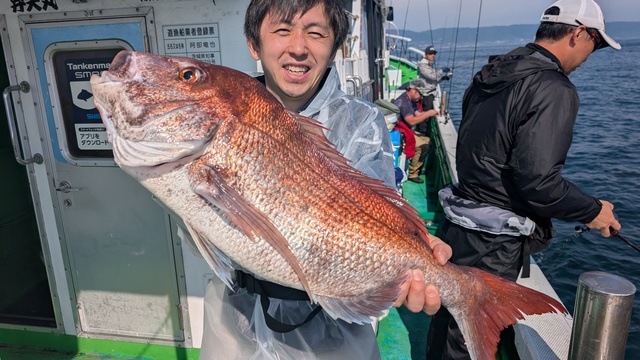 マダイ