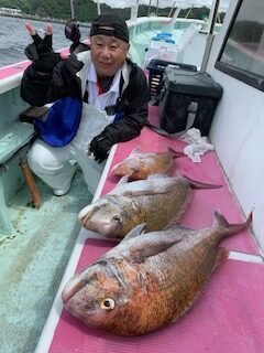 マダイ