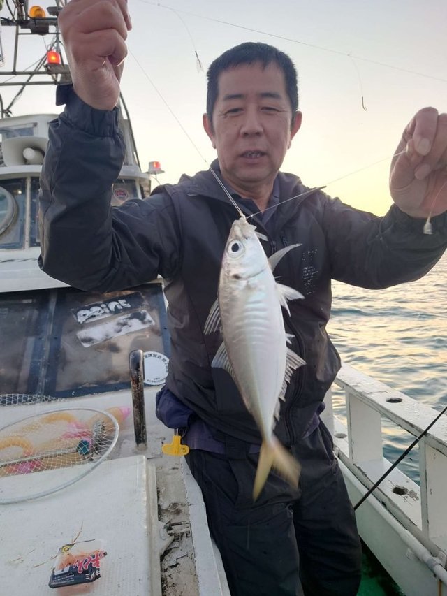 アジ(マアジ)