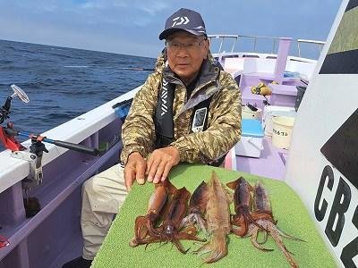 スルメイカ