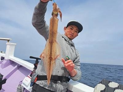 ヤリイカ