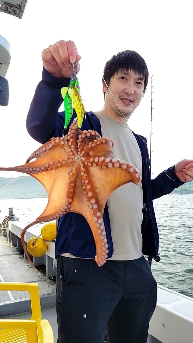 タコ(マダコ)