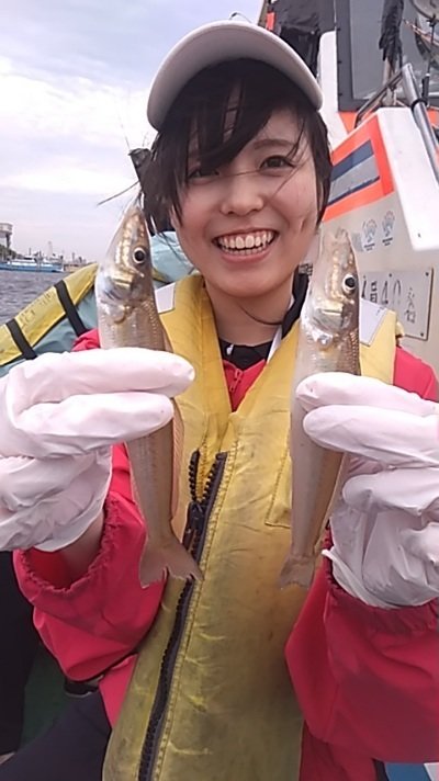 シロギス