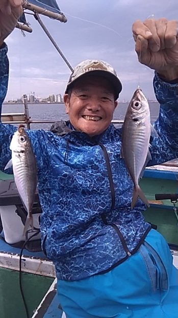 アジ(マアジ)