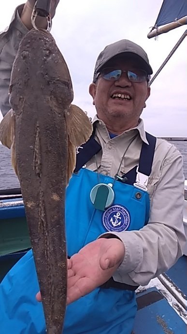マゴチ
