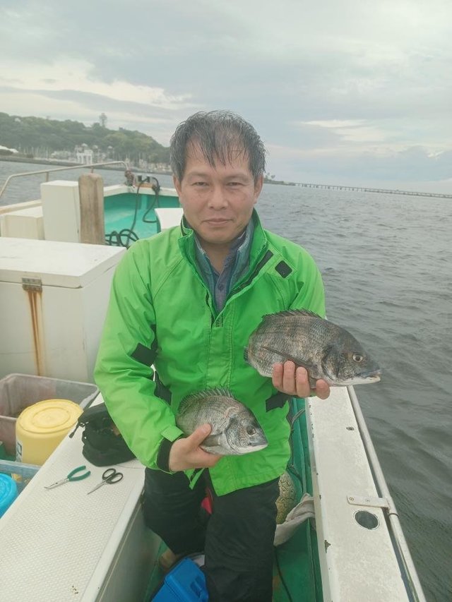 クロダイ