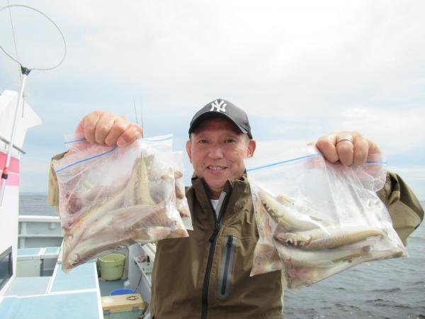 シロギス