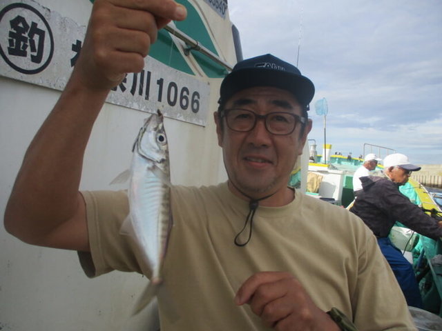 アジ(マアジ)
