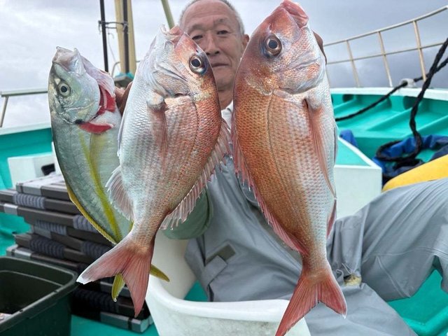 マダイ・シマアジ