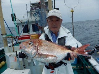 マダイ