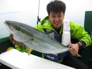 ワラサ(ブリ)