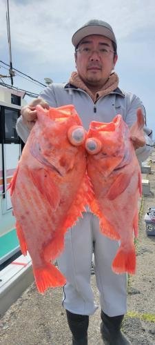 メヌケ(アコウダイ)