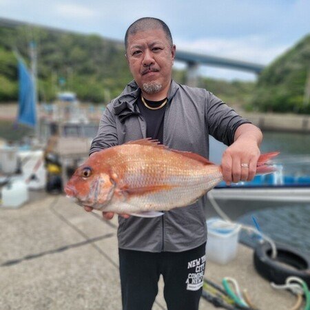 マダイ