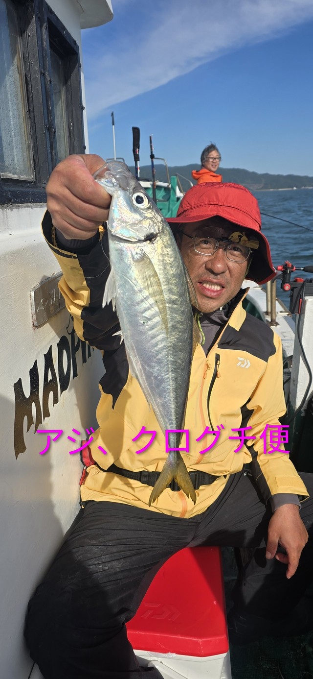 アジ(マアジ)