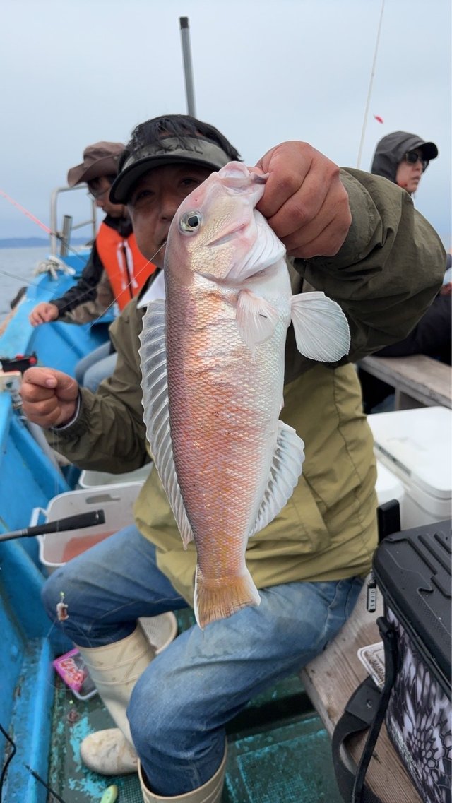 シロアマダイ