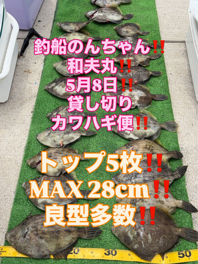 カワハギ