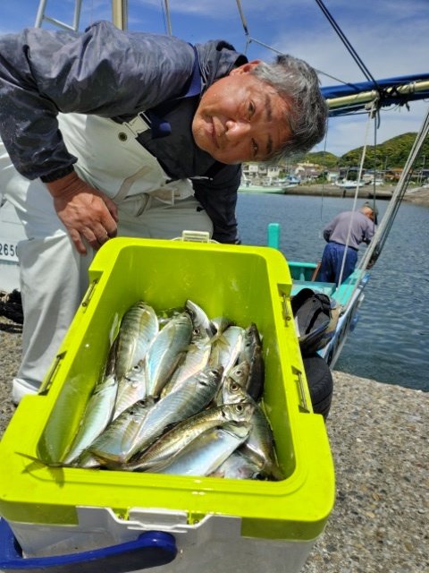 アジ(マアジ)