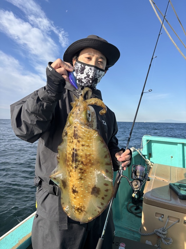 アオリイカ
