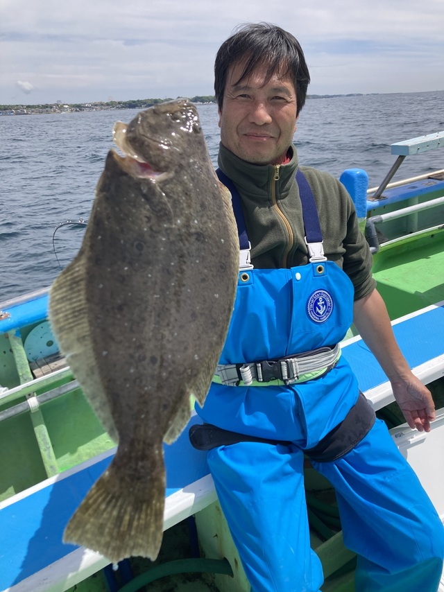ヒラメ