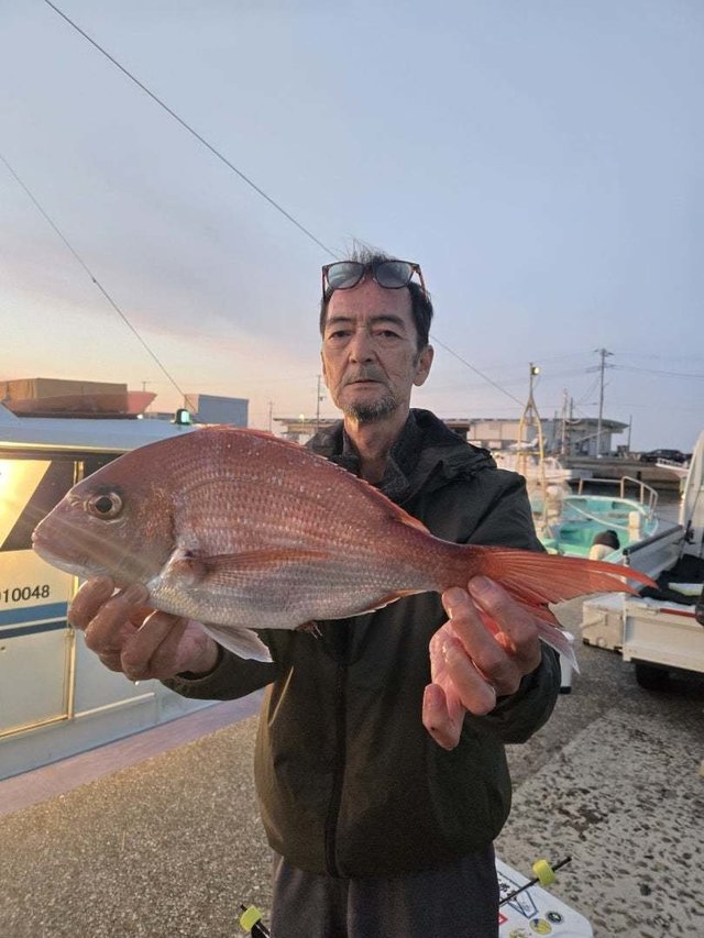 マダイ